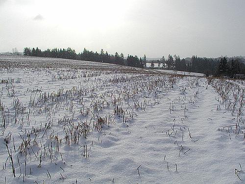 P3230017