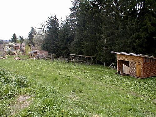 P4270037