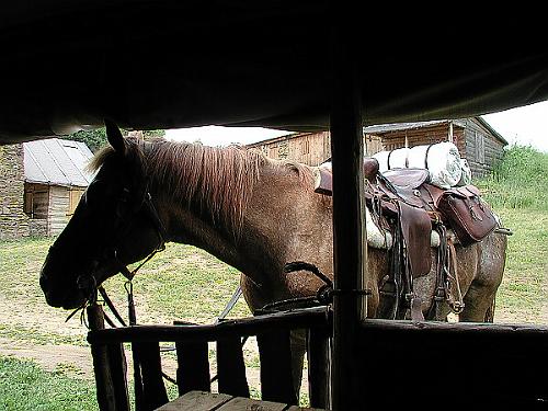P6150199
