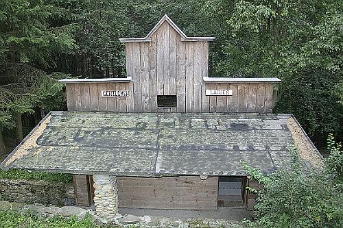 141