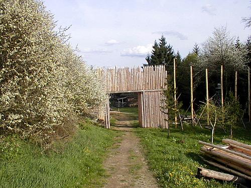 P4270038