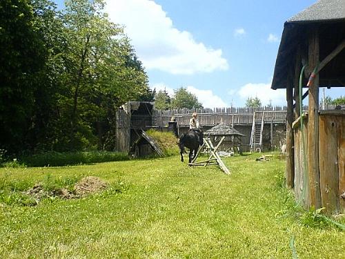 DSC00205