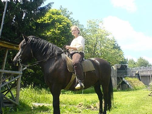 DSC00206
