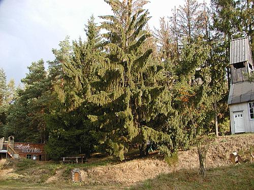 P9270002
