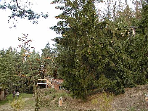 P9270005