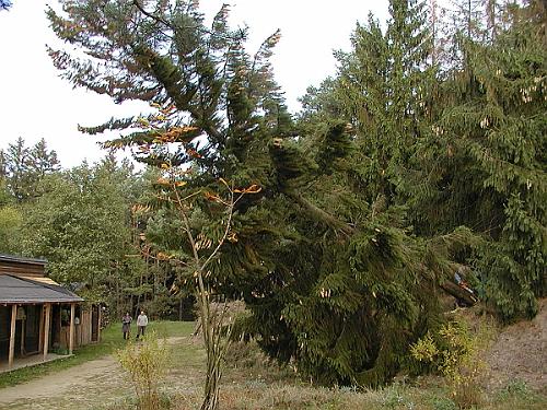 P9270007