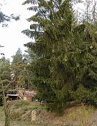 P9270005