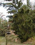 P9270006
