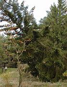 P9270007