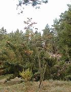 P9270008