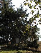 P9270025