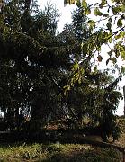 P9270026