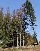 P9270050