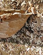P9280109
