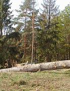 P9280111