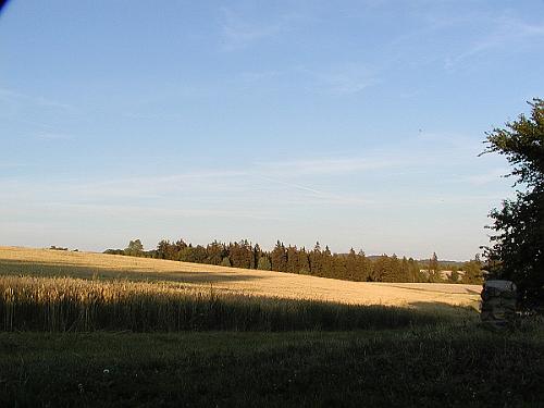 P7110111