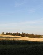 P7110111