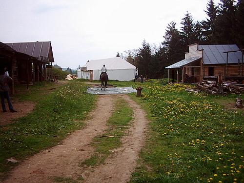 Dsci0003