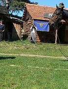 P1040003