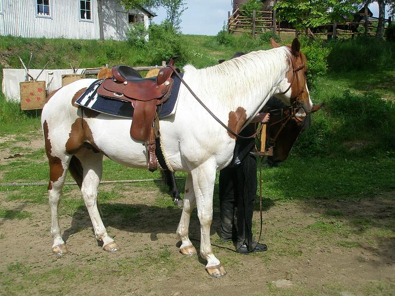 P5170094