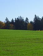 Halloween_2005_006