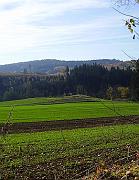 Halloween_2005_009