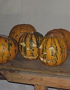 Halloween_2005_020