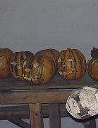 Halloween_2005_023