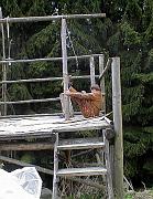 P4270035