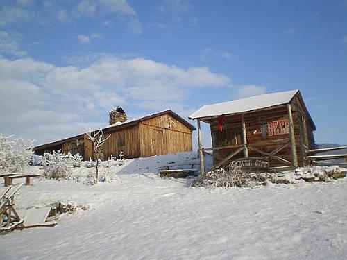 PC310088