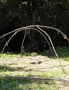 P8030128