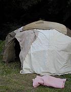P8030133