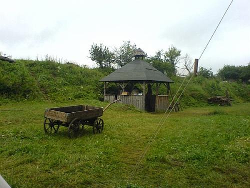 DSC00230