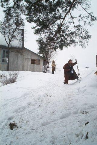 2005_17