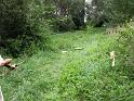 DSCF0221